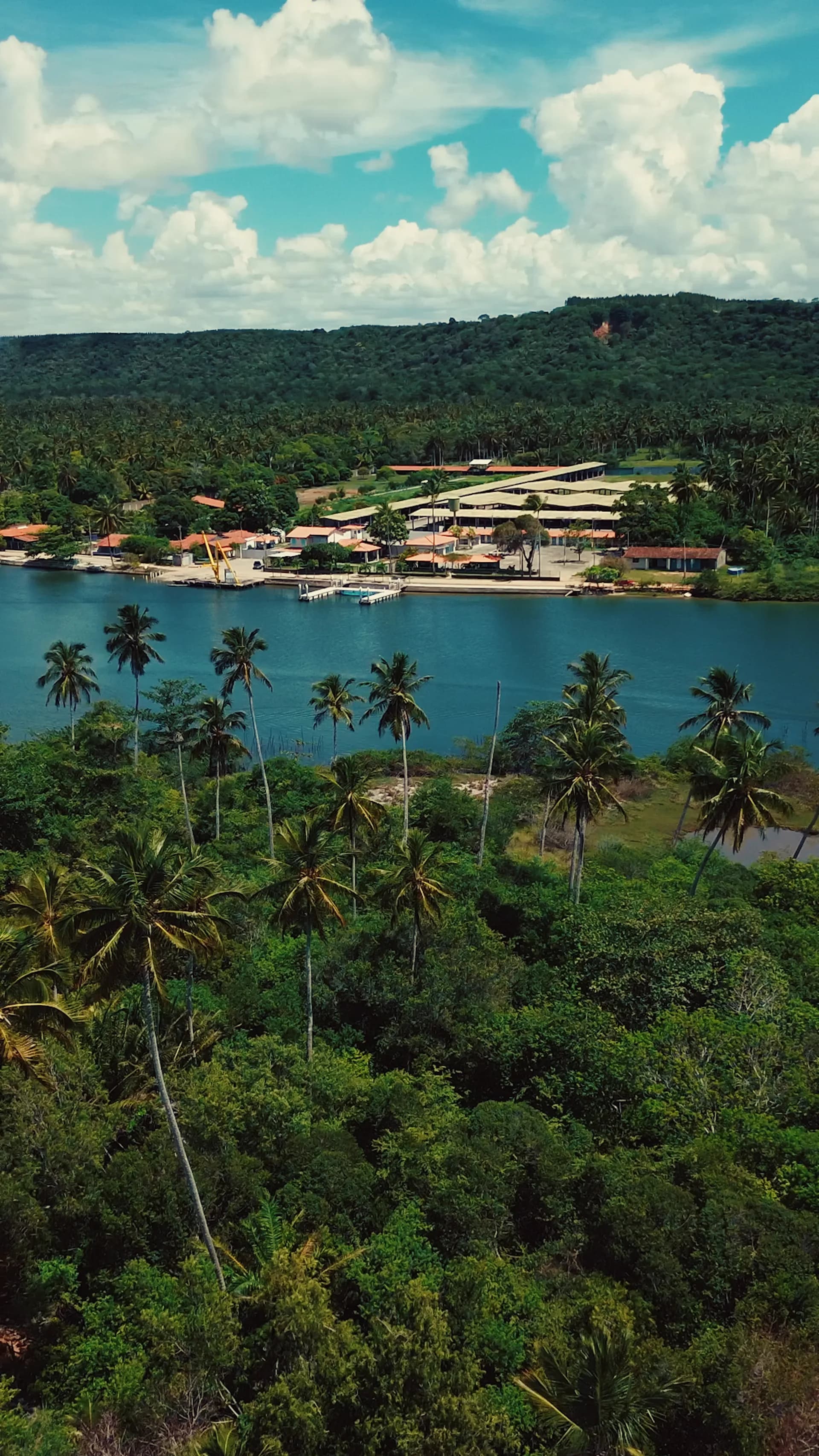 Nicho Imobiliário — imagem 9