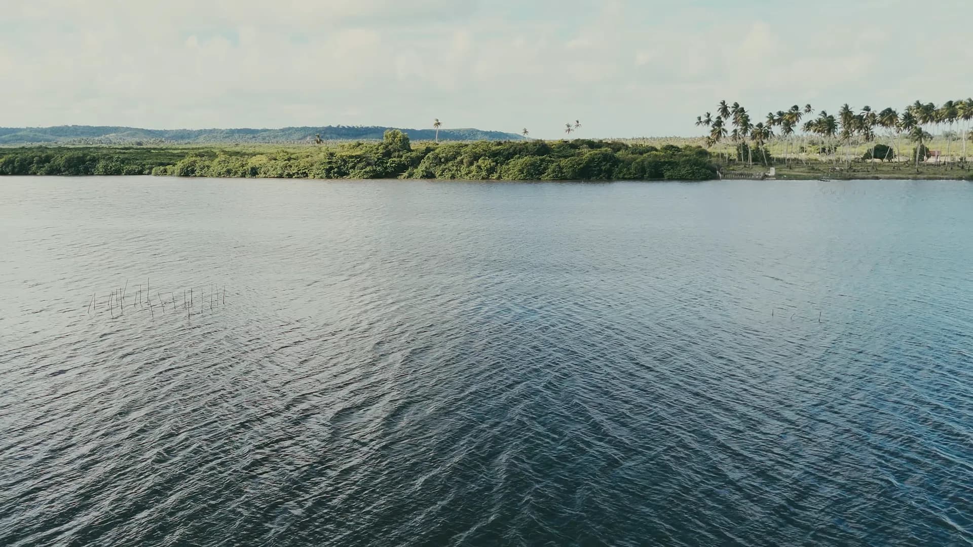 Clipes Musicais — imagem 3